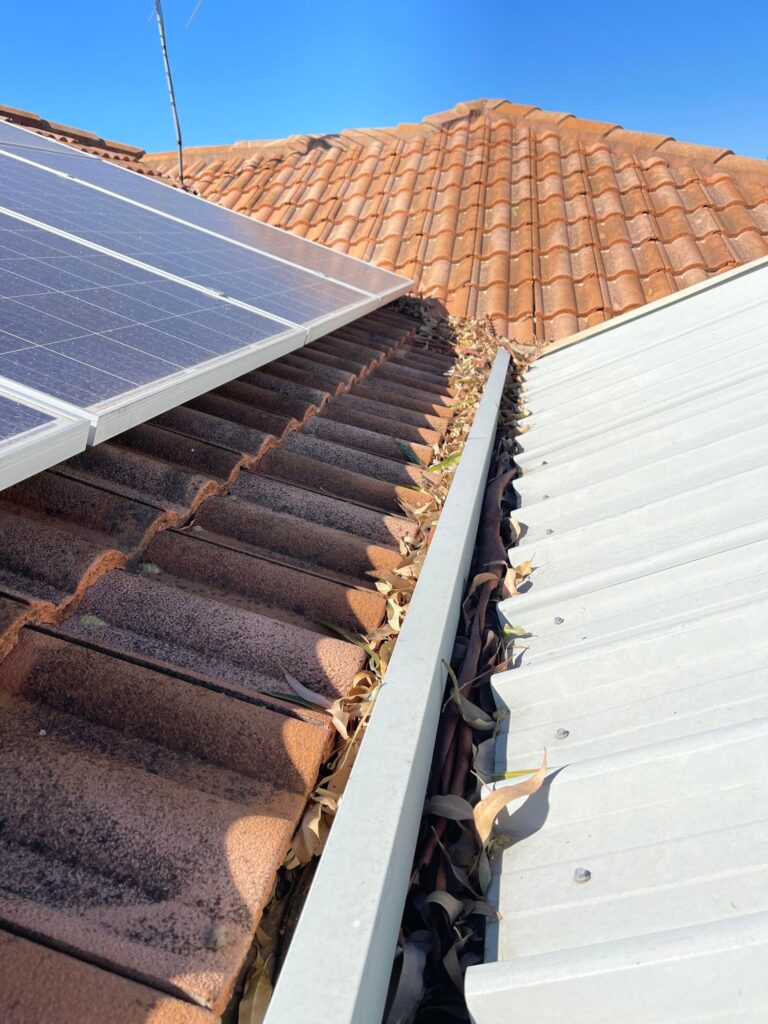 solar panel cleaning 2
